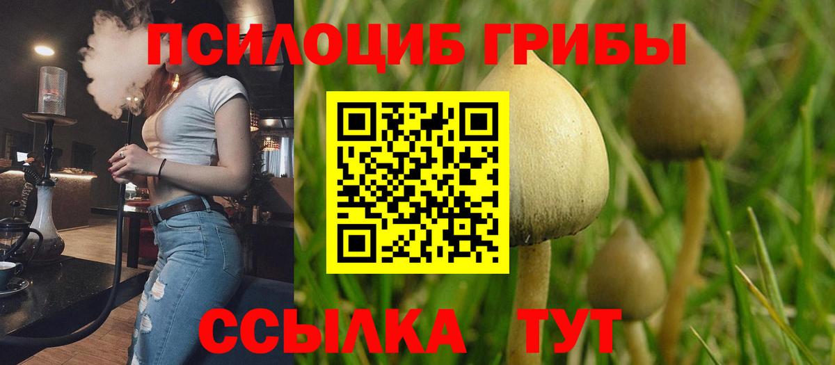 Галлюциногенные грибы Cubensis  Вход с VPN  где продают   Аша 